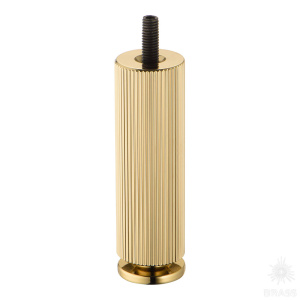 FL1020 0100 GL-GL Опора мебельная, глянцевое золото 100 мм