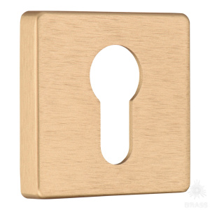 RO11Y ELX5 ROSET Накладка с цилиндрическим отверстием для ключа, брашированная латунь