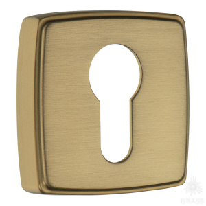 RO13Y GB ROSET Накладка с цилиндрическим отверстием для ключа, матовая латунь