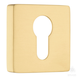 9167 MP35 CYLINDER ROSETTE Накладка с цилиндрическим отверстием для ключа, матовое золото (комп 2шт)