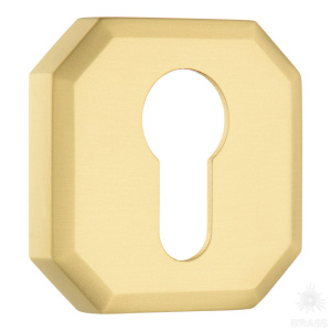 9161 MP35 CYLINDER ROSETTE Накладка с цилиндрическим отверстием для ключа, матовое золото (комп 2шт)