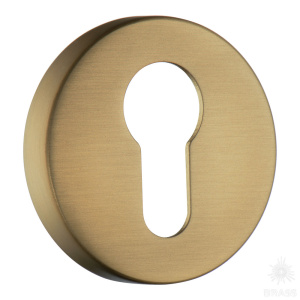 RO12Y GB ROSET Накладка с цилиндрическим отверстием для ключа, матовая латунь