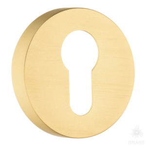 9190 MP35 CYLINDER ROSETTE Накладка с цилиндрическим отверстием для ключа, матовое золото