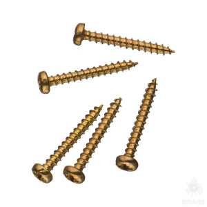 10365 Шуруп декоративный 2х16 A мм (упак 50 шт)