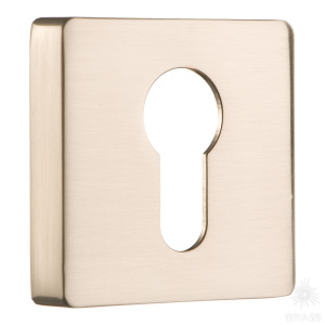 RO11Y NB ROSET Накладка с цилиндрическим отверстием для ключа