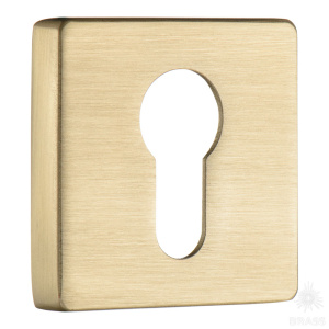 RO11Y BB ROSET Накладка с цилиндрическим отверстием для ключа, матовое золото