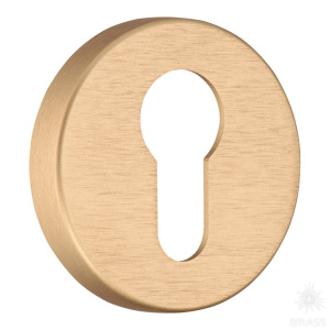 RO12Y ELX5 ROSET Накладка с цилиндрическим отверстием для ключа, брашированная латунь