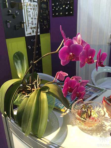gallery-photo5